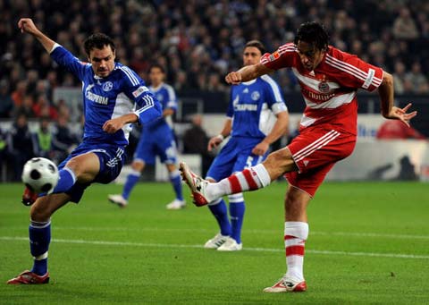 育偶像的独 育偶像的独